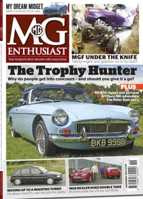 MG Perfection 
                issue MG Perfection