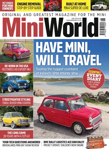 Mini World Preview