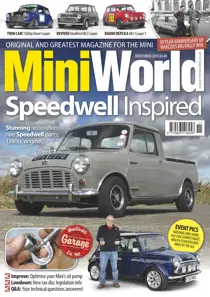 No.272 Speedwell Inspired 
                issue No.272 Speedwell Inspired