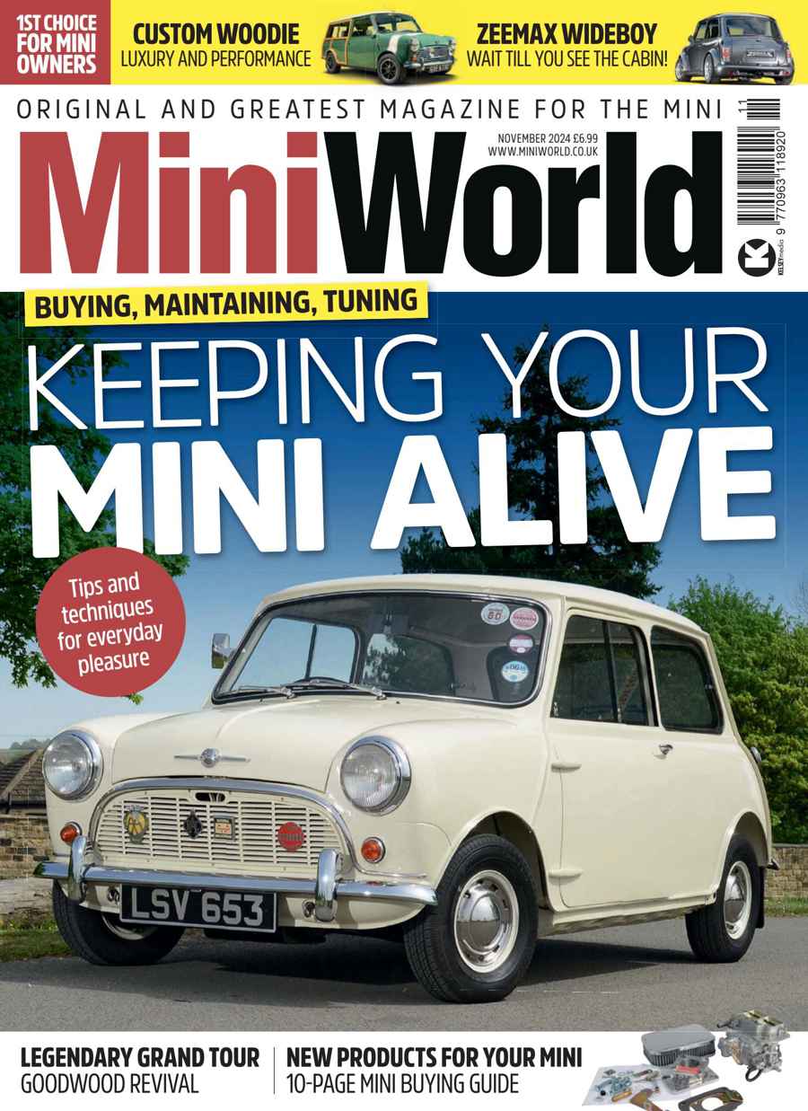 Mini World issue Nov-24