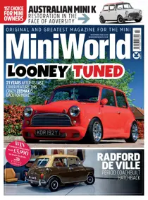 Mini World issue Mini World