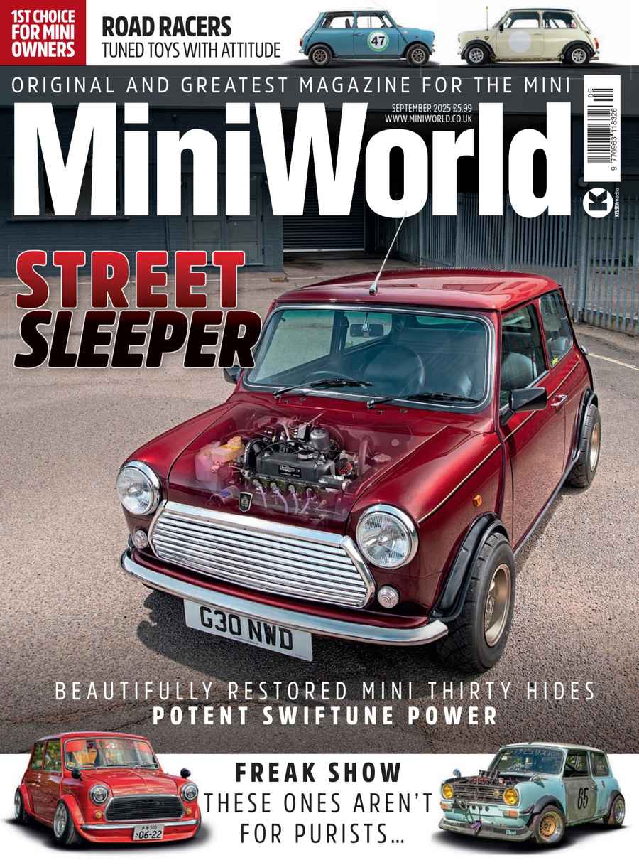 MINI WORLD
