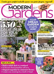 April 2019 
                issue April 2019