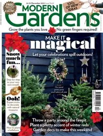 Dec-22 
                issue Dec-22