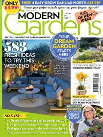 January 2021 
                issue January 2021