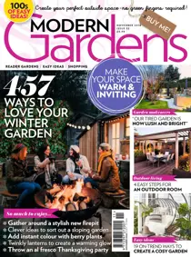 November 2018 
                issue November 2018