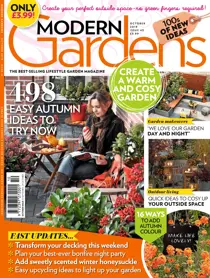 October 2019 
                issue October 2019