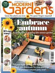 October 2021 
                issue October 2021