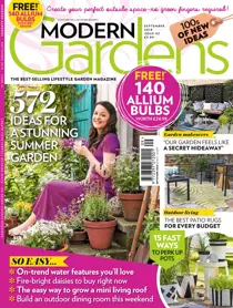 September 2019 
                issue September 2019