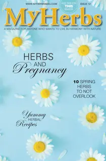 My Herbs 12 
                issue My Herbs 12