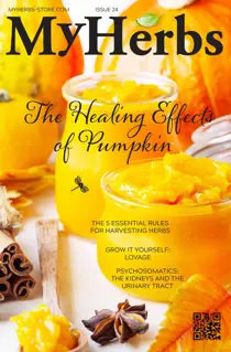 My Herbs Magazine My Herbs 24