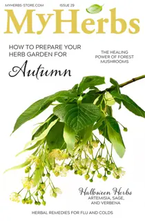 My Herbs Magazine issue My Herbs 29