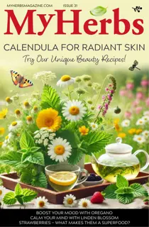 My Herbs 31 
                issue My Herbs 31