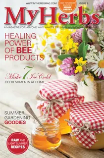 My Herbs 9 
                issue My Herbs 9