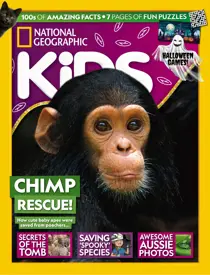 Issue 235 
                issue Issue 235