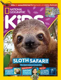 Issue 241 
                issue Issue 241