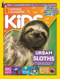 Issue 254 
                issue Issue 254