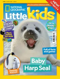 Issue 1 
                issue Issue 1