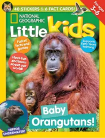 Issue 16 
                issue Issue 16