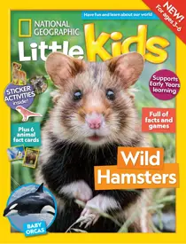 Issue 8 
                issue Issue 8