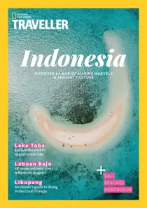 Indonesia 2021 
                issue Indonesia 2021