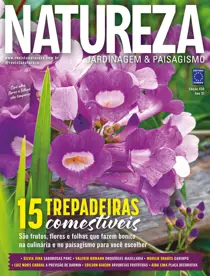 Edição 430 
                issue Edição 430