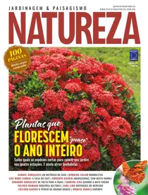 Edição 447 
                issue Edição 447