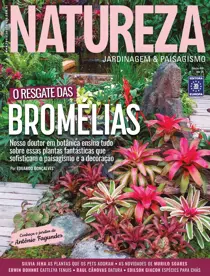 Natureza 408 
                issue Natureza 408