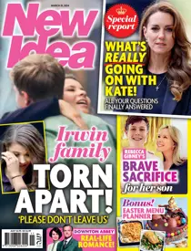 2411 
                issue 2411