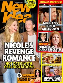 New Idea 
                issue 2545