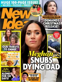 New Idea 
                issue 2550