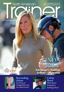 17 
                issue 17