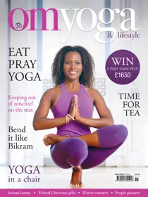 Nov-Dec 2010 - Issue 7 
                issue Nov-Dec 2010 - Issue 7