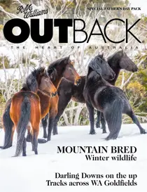 OUTBACK 113 
                issue OUTBACK 113