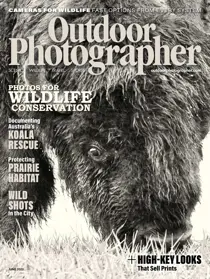 June 
                issue June