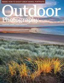 Issue 255 
                issue Issue 255