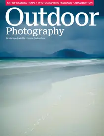 Issue 295 
                issue Issue 295