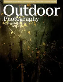 Issue 296 
                issue Issue 296