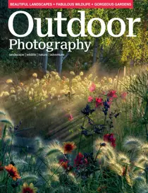 Issue 316 
                issue Issue 316