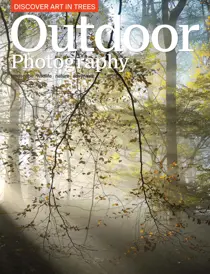 June 2015 
                issue June 2015