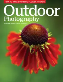 June 2017 
                issue June 2017