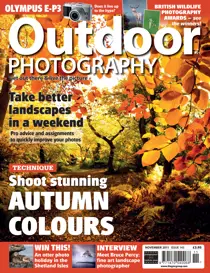 November 2011 
                issue November 2011