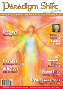 Paradigm Shift Issue 57 
                issue Paradigm Shift Issue 57