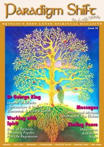 Paradigm Shift Paradigm Shift Issue 70