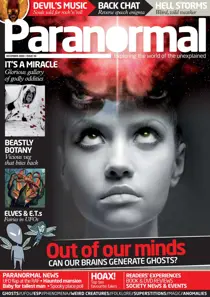 Issue 30 
                issue Issue 30