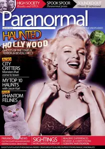 Issue 36 
                issue Issue 36