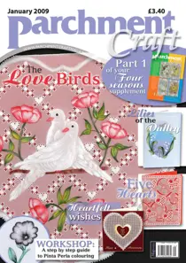 January 2009 
                issue January 2009