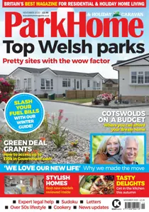 November 2020 
                issue November 2020