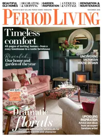 November 2019 
                issue November 2019