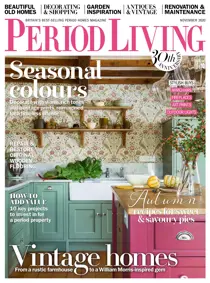 November 2020 
                issue November 2020